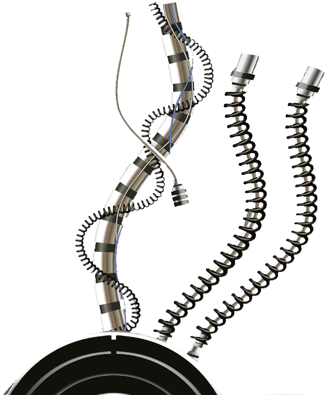 aprende ingles de una forma divertida